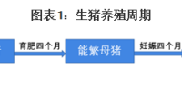 2023年5月17日股市上午行情分析？