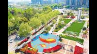 2023 年上半年重庆建成 52 个口袋公园，这对当地城市发展有何影响？