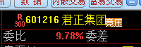 君正集团这个股票7月能上6吗？