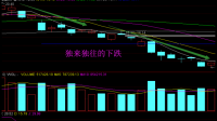 对于 2024 年股票大盘的波动情况，你