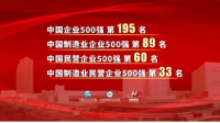 中国民营企业 500 强，安徽 7 家入选