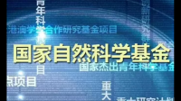 地区科学基金项目与国家基金有什么区别?