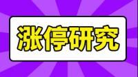 神工股份与三菱材料在锦州成立新公司,该公司发展前景如何?