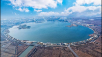 上海推出 29 项举措支持临港新片区深化拓展特殊经济功能,这对促进当地经济发展有何影响?