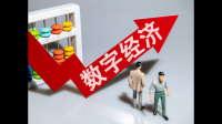 2016 年至 2022 年,中国数字经济年均复合增速达 14.2%,这一数据说明了什么?