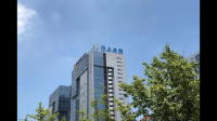 马上消费金融是如何反诈的?