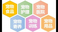 仿真宠物定制成热门行业,该行业日后发展前景如何?
