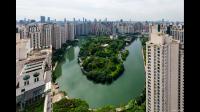 中远海控的未来发展前景如何?