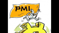 日本 5 月制造业 PMI 初值 50.8,这一数据透露了哪些信息?