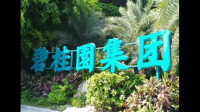 碧桂园于宽限期内偿付两笔境外债票息,目前该企业经营现状如何?