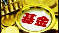 今年有人买基金赚到钱了吗?